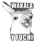 WAKALA Y FUCHI 