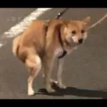 Qué se sentirá ser feo?