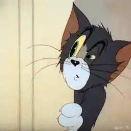 Are you kitten me right meow?