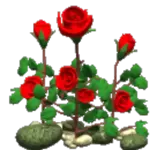 ¿En quién pensaste?