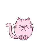 💟💟💟