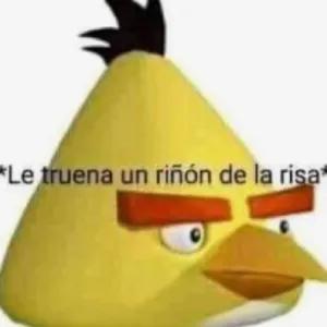 LceJ25