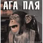 👍👍👍