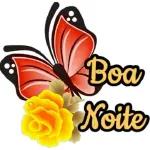boa noit