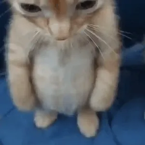 9bjbEo