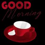 god will bless you🌹