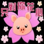 可愛豬 很想你