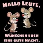 gute Nacht
lan B
träumt süß