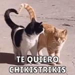 falvaradosanchez16