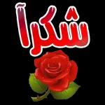 ببببببببببب