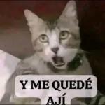 Y ME QUEDÉ AJÍ
