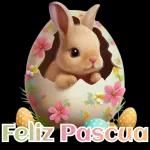 Pascuas