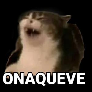 qlRIse