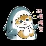 鯊魚貓咪 2