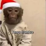 te espero bajo me arbolito