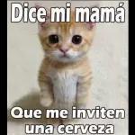 Dale túperdónseñor