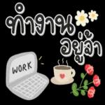 อยู่ไหน?อยู่กับใคร?ที่ไหน????