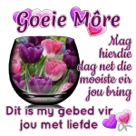 lief jou