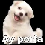perrito
