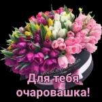 спасибо 