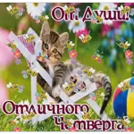 позитив