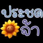 คำฮิต ภาษาดอกไม้ คนเหงา