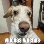 wuenas wuenas