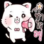 อยากได้เงิน