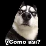 QUE BRUTO PONGANLE UN PUTAZO