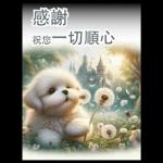 瑪爾濟斯小狗對你說早安40大貼圖-3