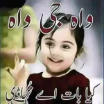 واه واه کیا بات لے گیاڈی