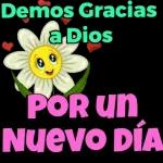 nuevo año