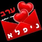 רועי 2