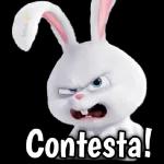 Que haces?