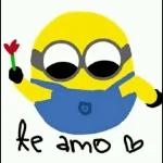 Flork