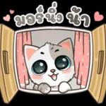 น้องมิน คาบรักมาฝาก