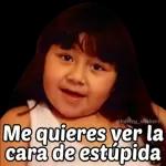 PARAAAA!!