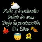 Tu me lo haces bonito