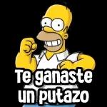 te ganaste un putazo