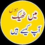 اللہ آپ کو نیکوں والی اور تندرستی والی لمبی عمر عطا فرمائے آمین