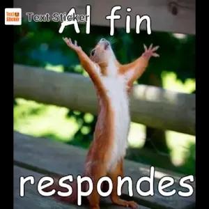 Al fin respondes - getsticker.com