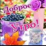 Доброе утро  ☀  ☀