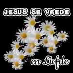 Thank YOU LOVE And BLESSINGS To You