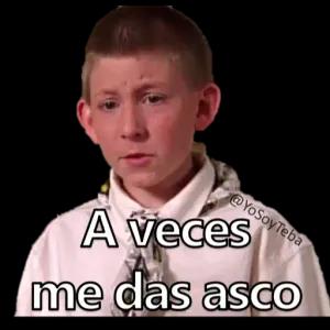 p6v5x8