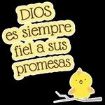 Gracias por existir