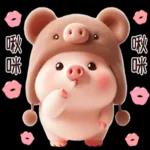 小猪熊好可爱啊