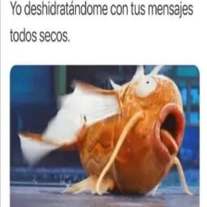 AP0Qi9