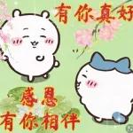 Chiikawa 長輩圖 draft