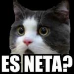 De lo que uno se entera