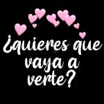 amor 2
